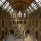Natural History Museum, London